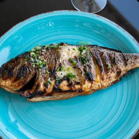 Gatti Grassi Appartement