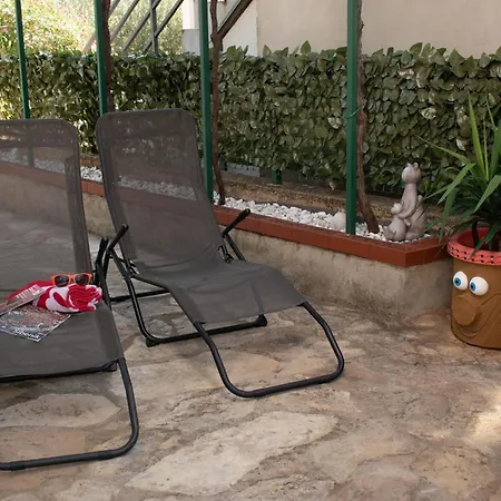 Gatti Grassi Zaboric