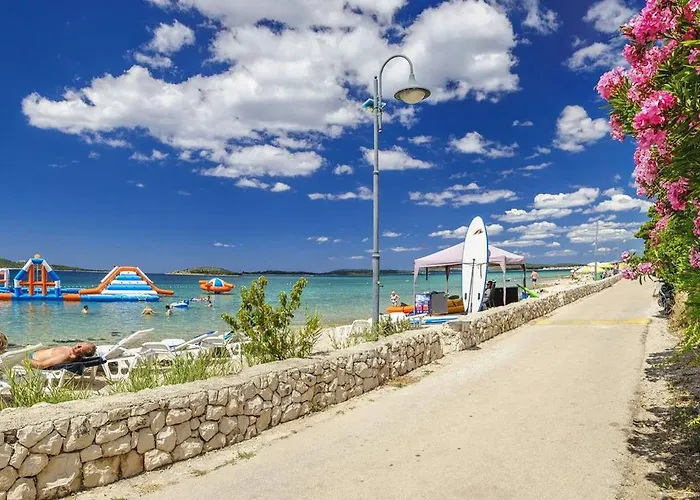 Gatti Grassi * Zaboric