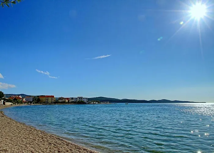 Gatti Grassi Zaboric