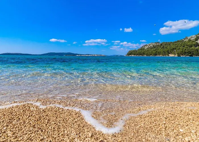 Gatti Grassi Zaboric