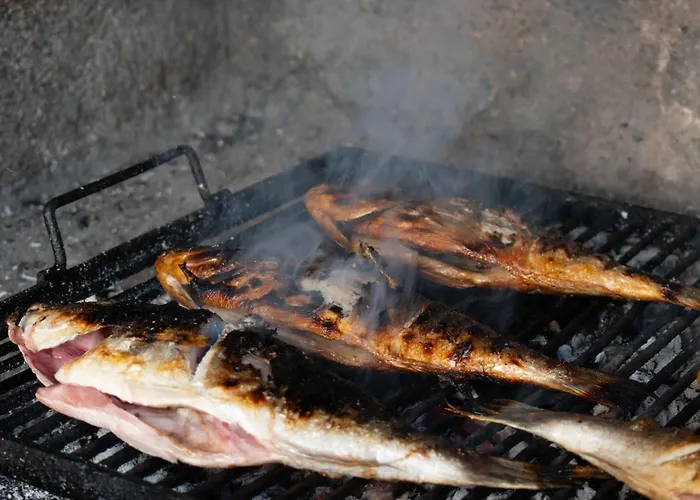 Gatti Grassi Daire Zaboric